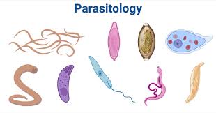 General Parasitology (Helminthology) CS1